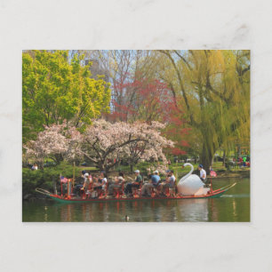 Boston Public Garden Swan Boat in het voorjaar Briefkaart