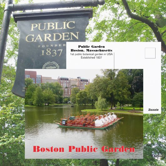 Boston Public Garden Zwaanboten Fotografisch Briefkaart
