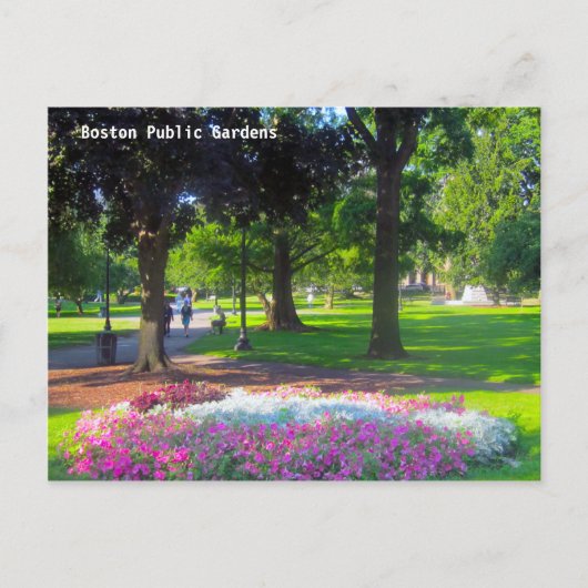 Boston Public Gardens Briefkaarten (Voorkant)