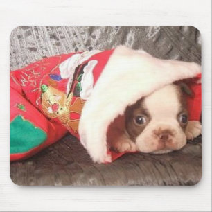 Boston Pup in Kerstmis Stocking Muismat