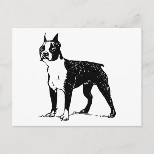 boston shister briefkaart
