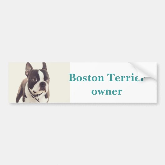 boston shister bumpersticker (Voorkant)
