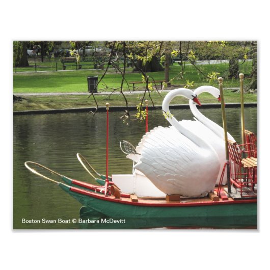 Boston Swan Boat Foto Afdruk (Voorkant)