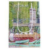 Boston Swan Boats Pencil en Ink Medium Cadeauzakje (Achterkant)