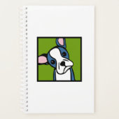 Boston Terrier (Devant)