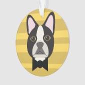 Boston Terrier (devant)