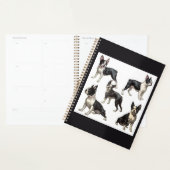 Boston Terrier (Devant avec enveloppe)
