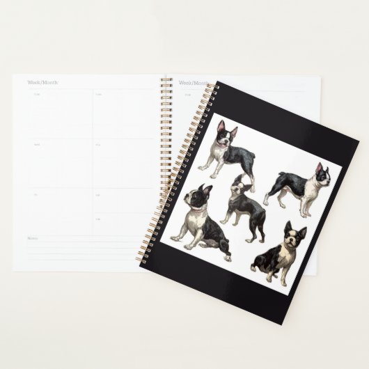 Boston Terrier (Devant avec enveloppe)