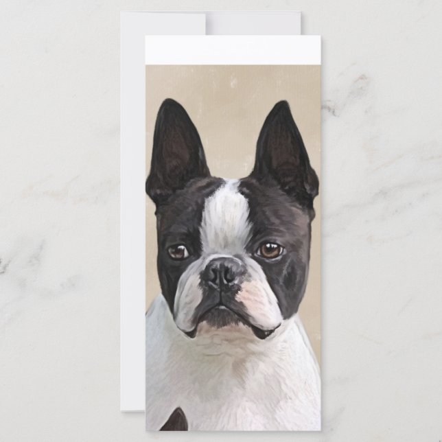 Boston Terrier (Voorkant)