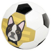 Boston Terrier (3/4)