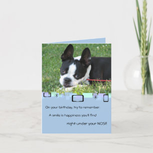Boston Terrier All Occasion Wenskaart Kaart