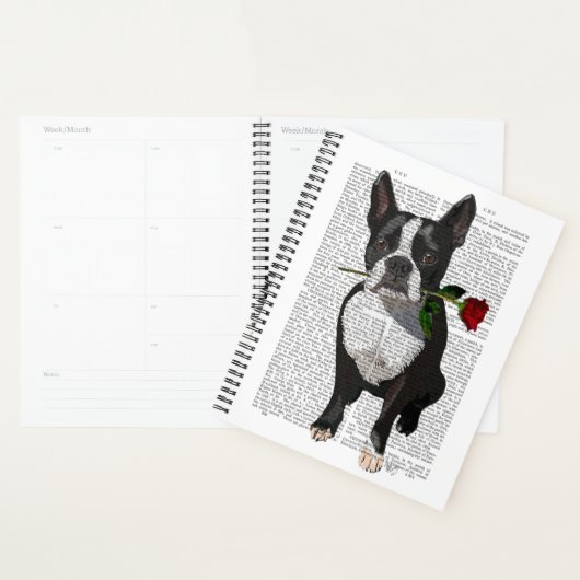 Boston Terrier avec Rose dans la bouche (Devant avec enveloppe)