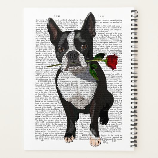 Boston Terrier avec Rose dans la bouche (Dos)