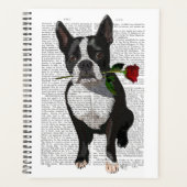 Boston Terrier avec Rose dans la bouche (Devant)