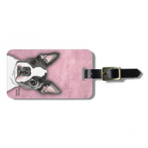 Boston Terrier