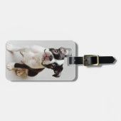 Boston Terrier Bagagelabel (Voorkant horizontaal)