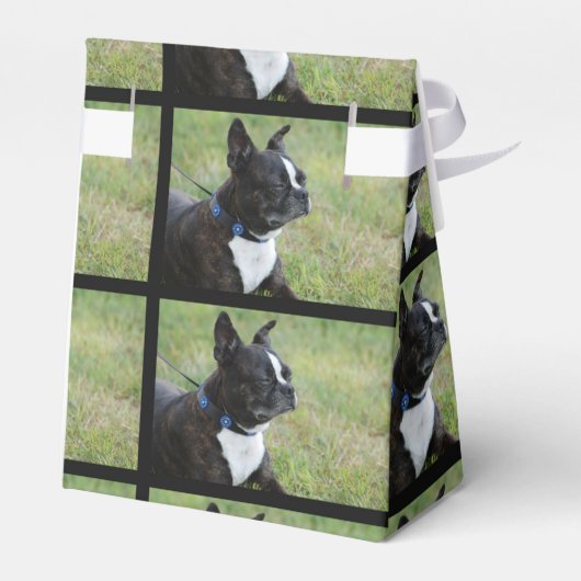 Boston Terrier Bedankdoosjes (Achterkant)