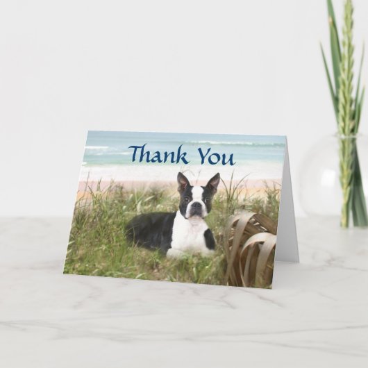 Boston Terrier Bedankt Card Beachgrass (Voorkant)