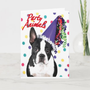Boston Terrier Birthday Card Kaart