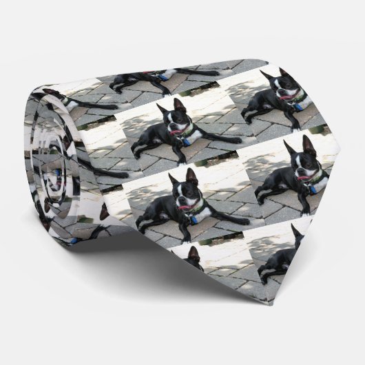 Boston Terrier Boston 5 Stropdas (Opgerold)