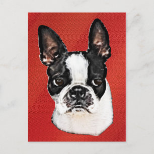 Boston Terrier Briefkaart
