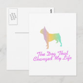 Boston Terrier Briefkaart (Voorkant / Achterkant)