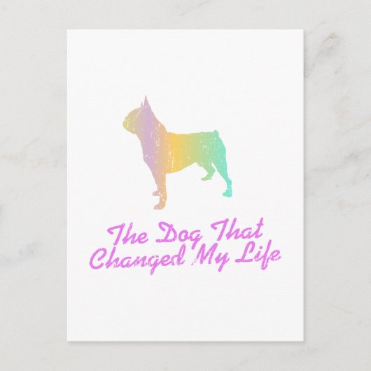 Boston Terrier Briefkaart (Voorkant)
