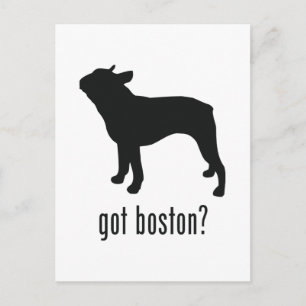 Boston Terrier Briefkaart
