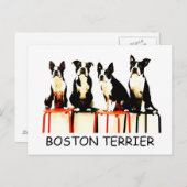 BOSTON TERRIER BRIEFKAART (Voorkant / Achterkant)