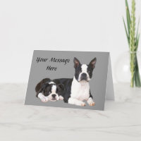 Boston Terrier Buddies Wenskaart