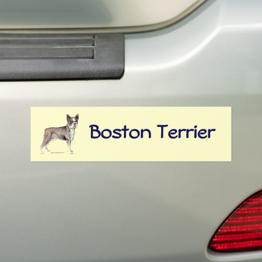 Boston Terrier Bumpersticker (Op auto)