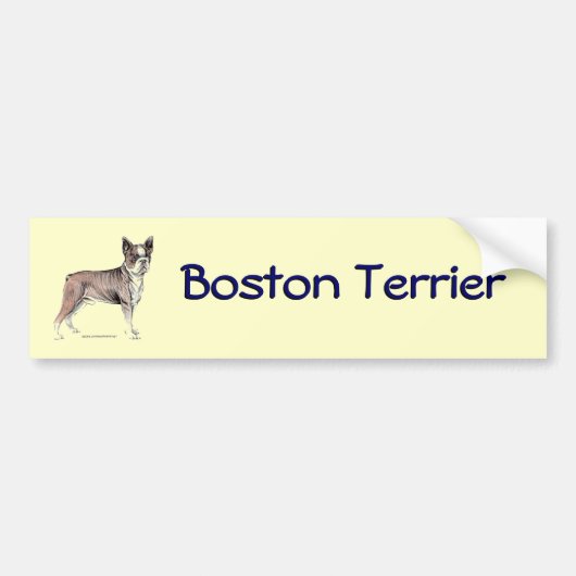 Boston Terrier Bumpersticker (Voorkant)