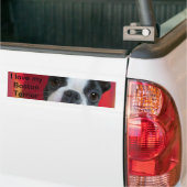 Boston Terrier Bumpersticker (Op Truck)