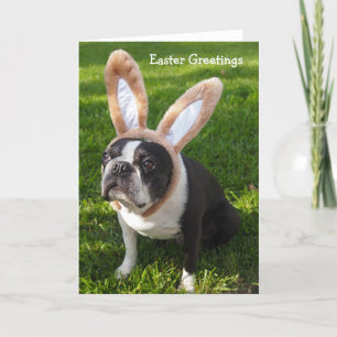 Boston Terrier Bunny Easter Wenskaart 2 Feestdagen Kaart
