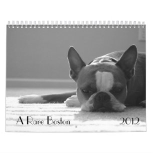Boston Terrier Calendar 2012 Kalender