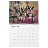 Boston Terrier Calendar Kalender (Jan 2026)