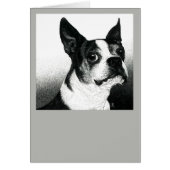 Boston Terrier Card - "Boston Style" (Devant)