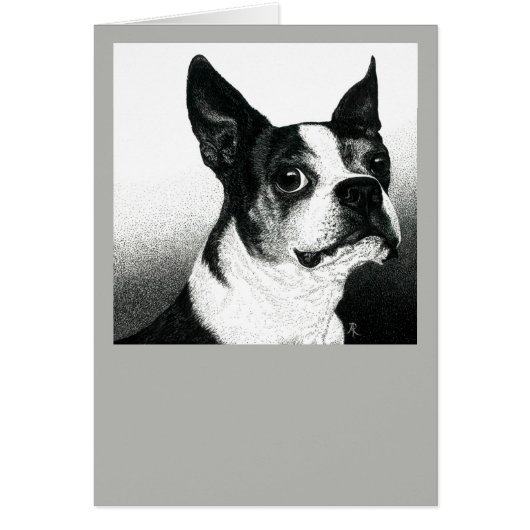 Boston Terrier Card - "Boston Style" (Devant)