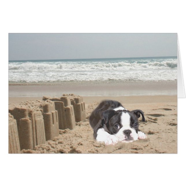 Boston Terrier Card Sandcastles (Voorkant Horizontaal)