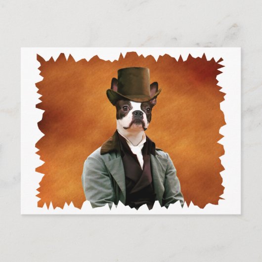 Boston Terrier Carte Postale Nobility Chiens Cadea (Devant)