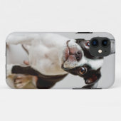 Boston Terrier Case-Mate iPhone Case (Achterkant (horizontaal))