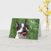 Boston Terrier Chien Chien Chien Mlle Votre Carte  (Fleur jaune)