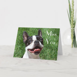 Boston Terrier Chien Chien Chien Mlle Votre Carte 