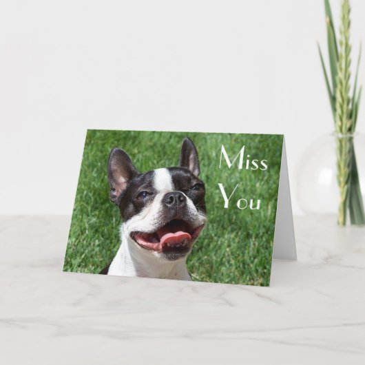 Boston Terrier Chien Chien Chien Mlle Votre Carte (Devant)