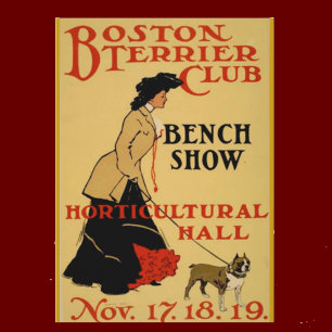 Boston Terrier Club Briefkaart