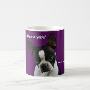 Boston Terrier:  Cookie alsjeblieft? Koffiemok