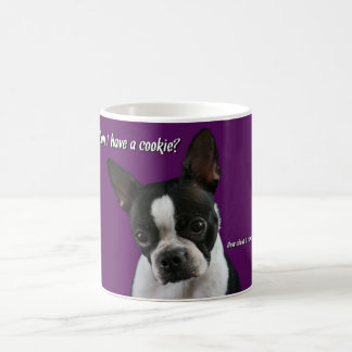 Boston Terrier:  Cookie alsjeblieft? Koffiemok