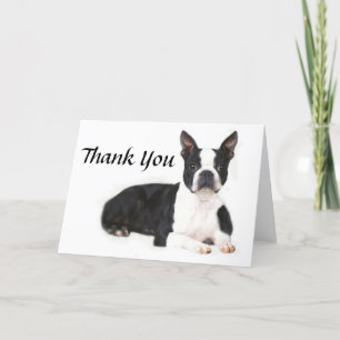 Boston Terrier dankt u kaardt Bedankkaart