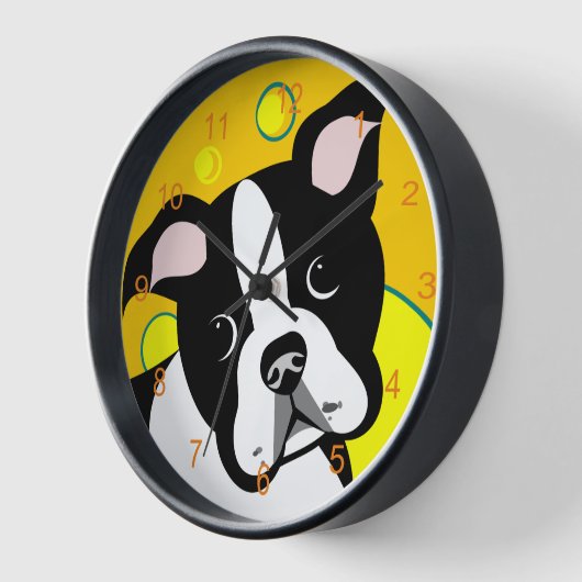 Boston Terrier Dog (Hoek)