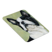 Boston Terrier Dog Art Magnet (Côté Droit)